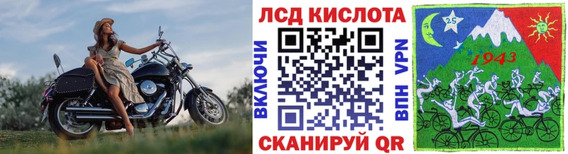 купить наркотики цена  Арзамас  KRAKEN зеркало  Марки N-bome 1,8мг 