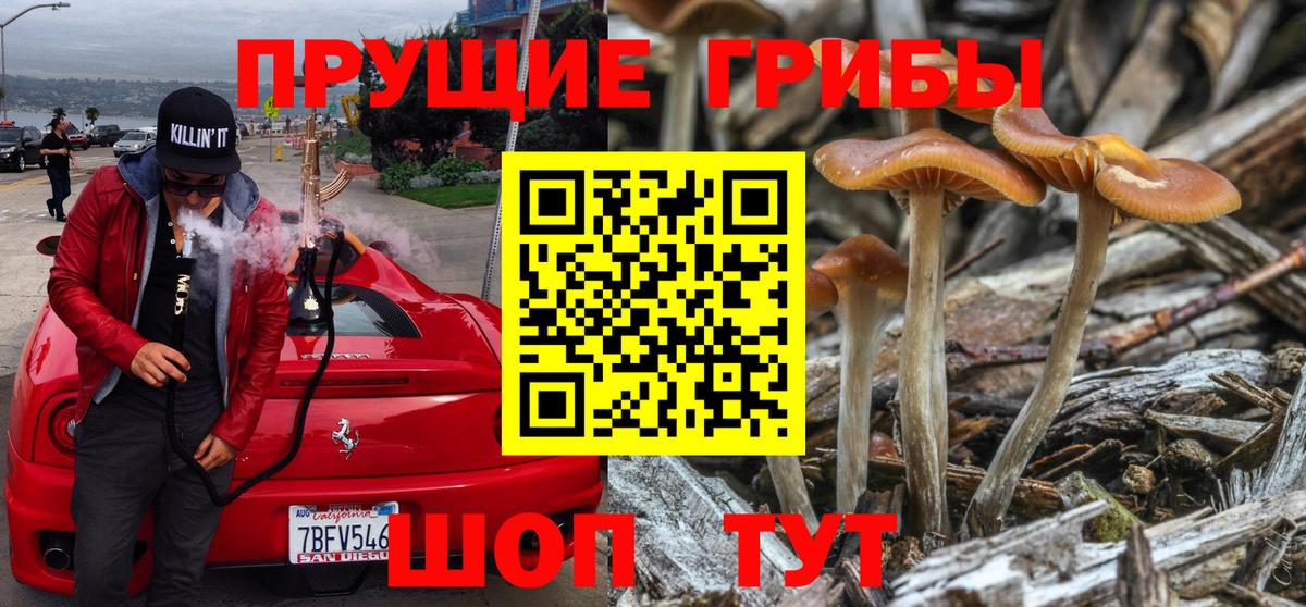 Галлюциногенные грибы мицелий Арзамас
